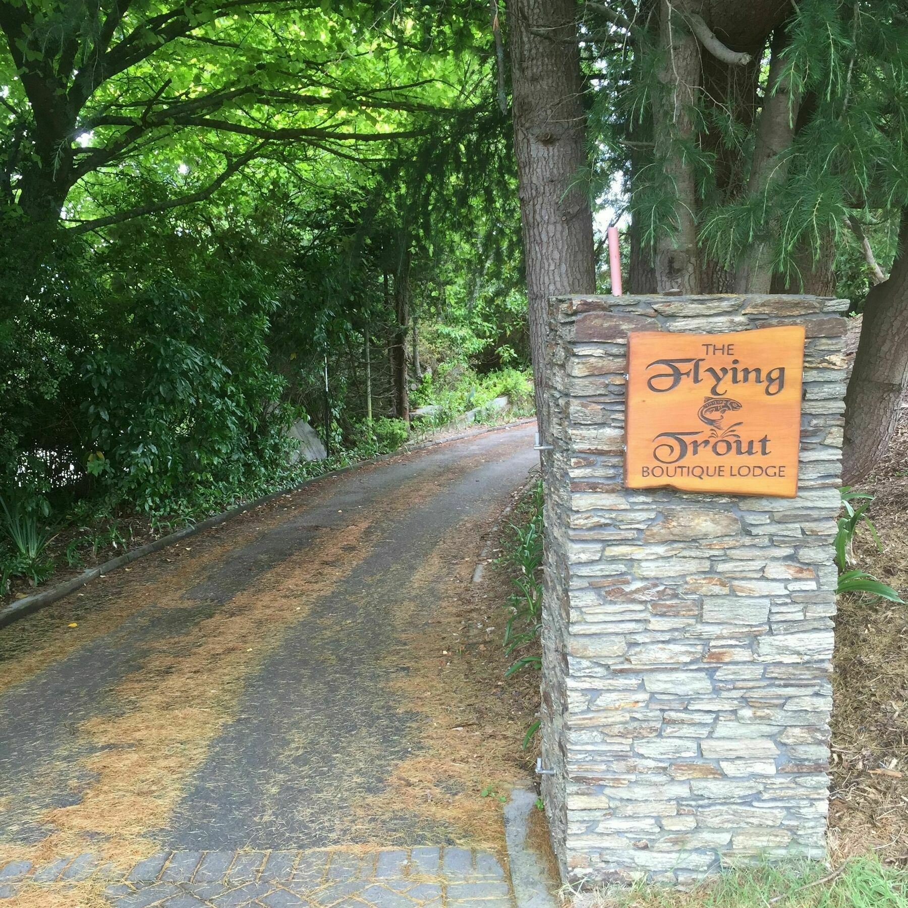 The Flying Trout Boutique Lodge Τούπο Εξωτερικό φωτογραφία